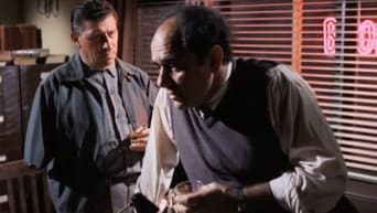 Episódio 29
