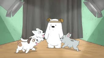 Loja de Animais