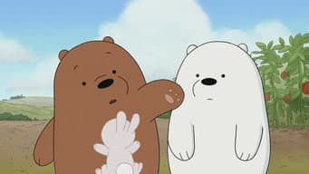 Coelhos