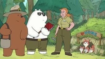 Esquadrão Urso