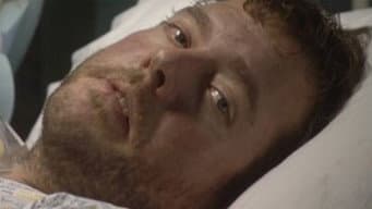 Episódio 29