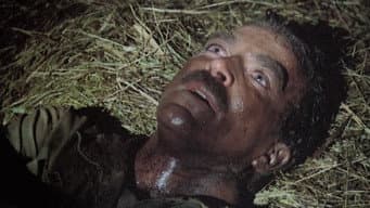 Episódio 16
