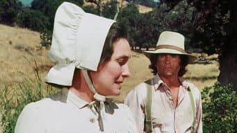 Episódio 7