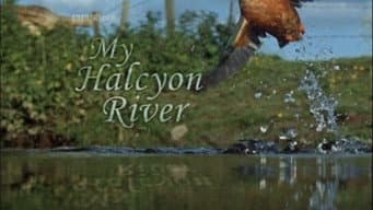 Episódio 6