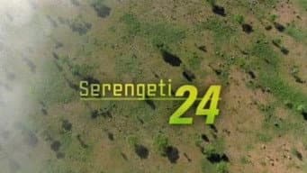 Episódio 11