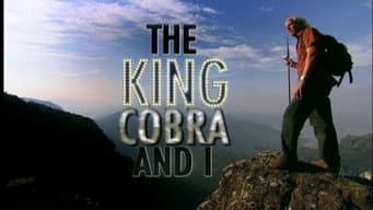 Episódio 4