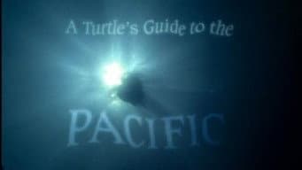 Episódio 16