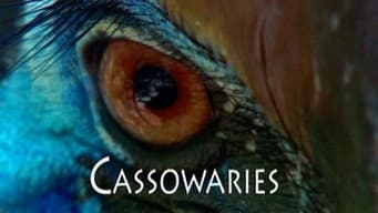 Episódio 13