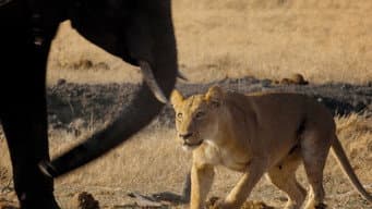 Episódio 10
