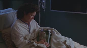 Episódio 13