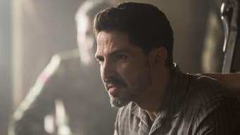 Episódio 8