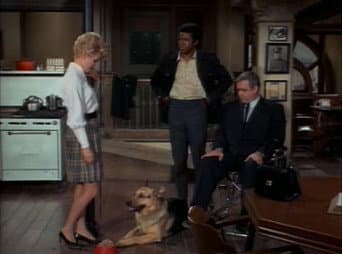 Episódio 12