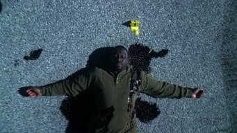 Episódio 17