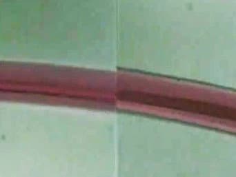 Episódio 1