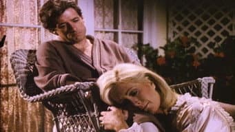 Episódio 23
