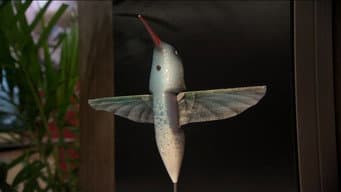Episódio 20