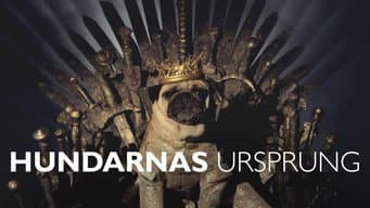 Episódio 30