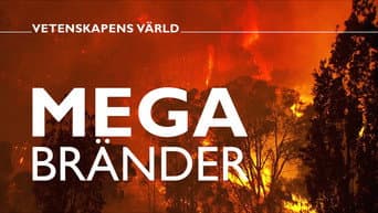Episódio 9