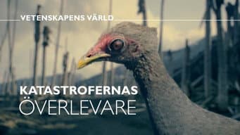 Episódio 18