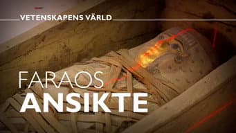 Episódio 12