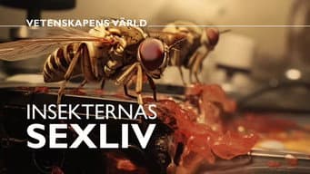 Episódio 25