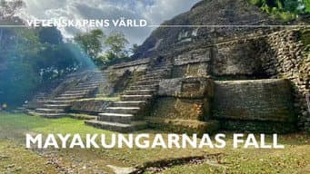 Episódio 35