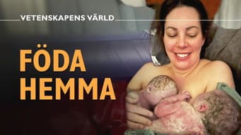 Episódio 18