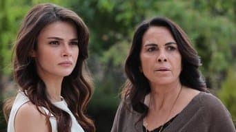 Episódio 25