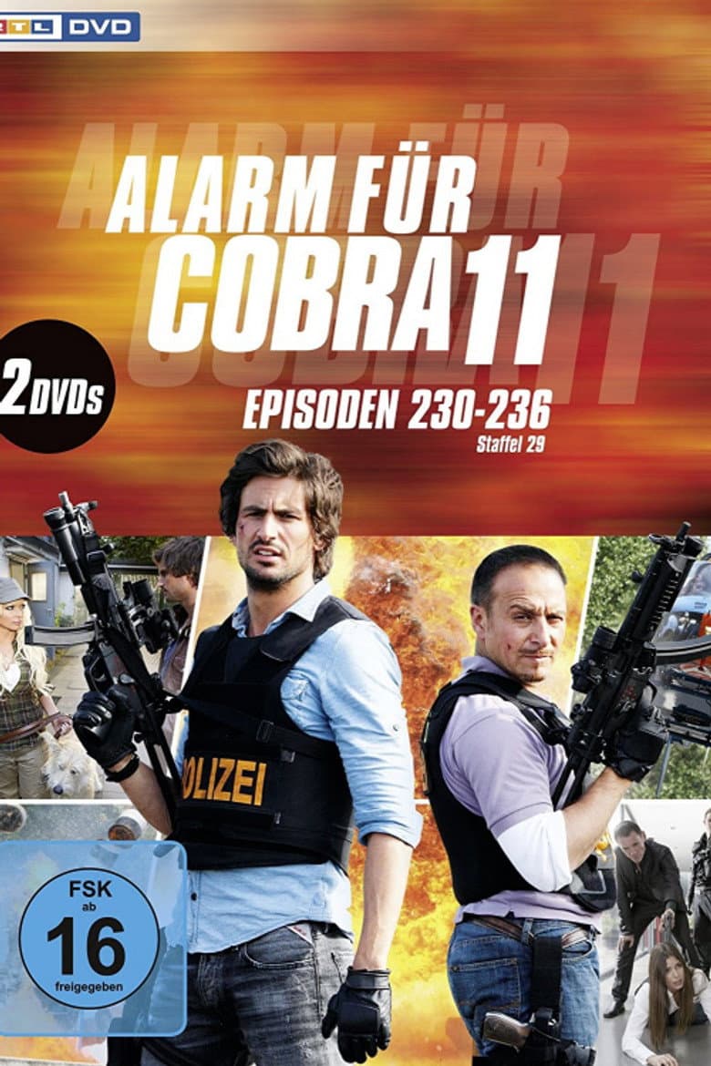 Temporada 31