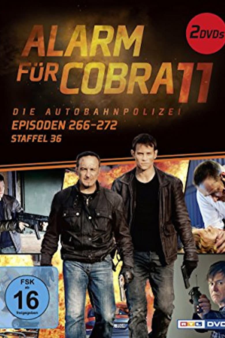 Temporada 36
