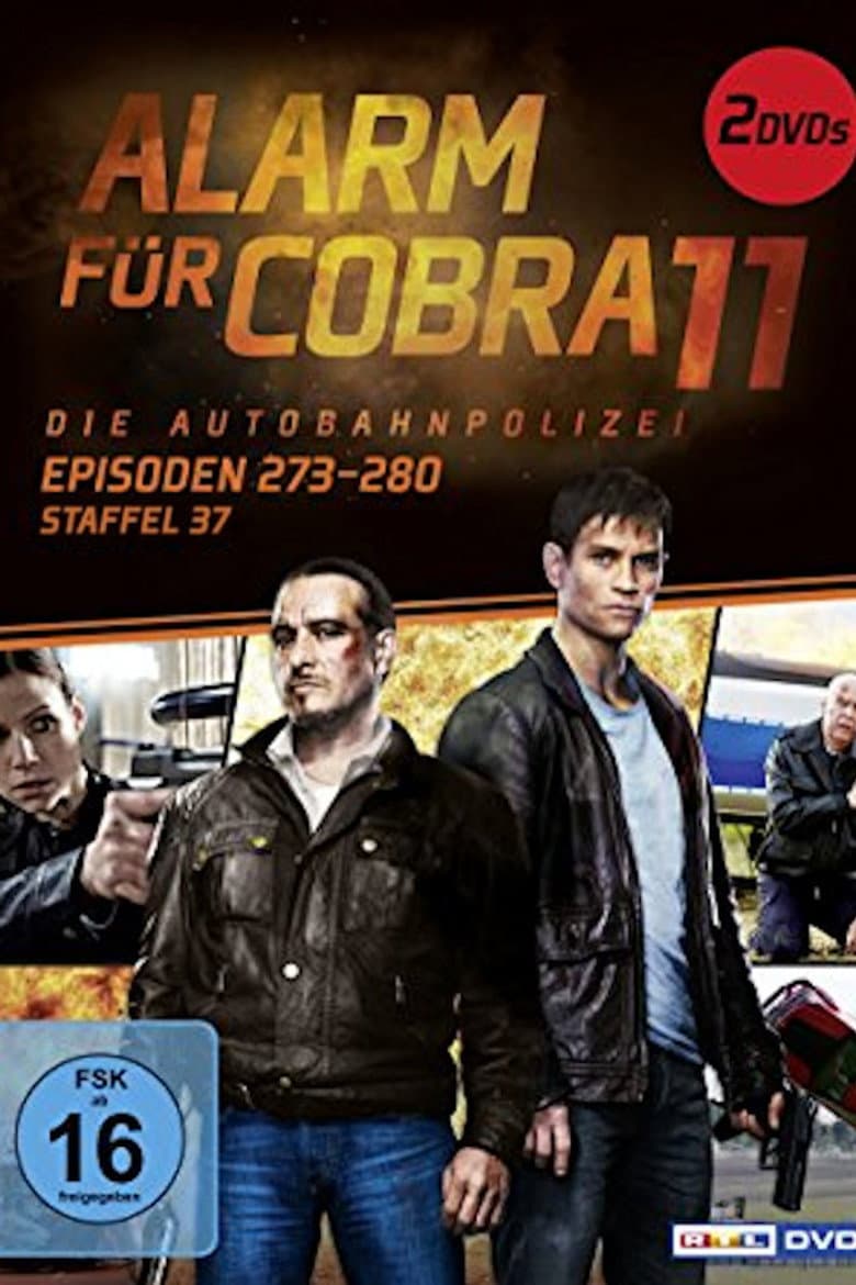 Temporada 37