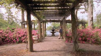 Joey Potter e a Redenção de Capeside