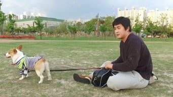 Episódio 246