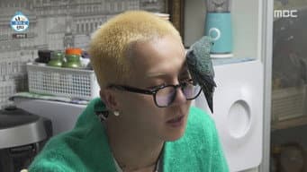 Episódio 431