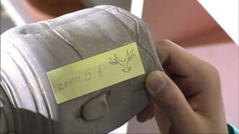 Episódio 11