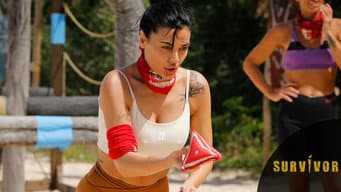 Episódio 29
