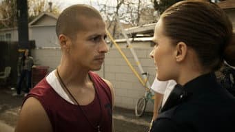 Episódio 17
