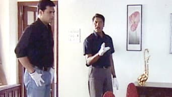 Episódio 254