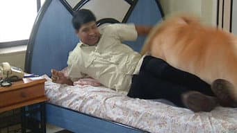 Episódio 329