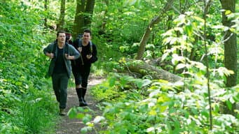 A Caminhada