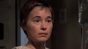 Episódio 16