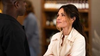A Arquiteta do Bem-estar Social