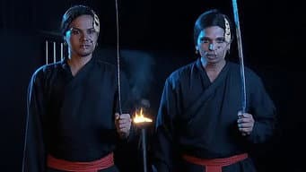 Episódio 330