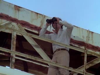 Episódio 18