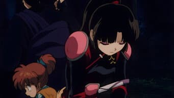 Kirara não volta