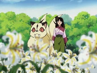 Kohaku, Sango, Kirara e o Jardim Secreto da Flor