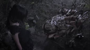 Episódio 13