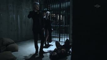 Episódio 11