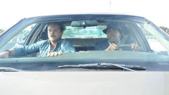 Piloto
