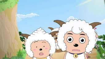 Episódio 231